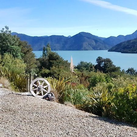 Moana Haven B&B Havelock Zewnętrze zdjęcie